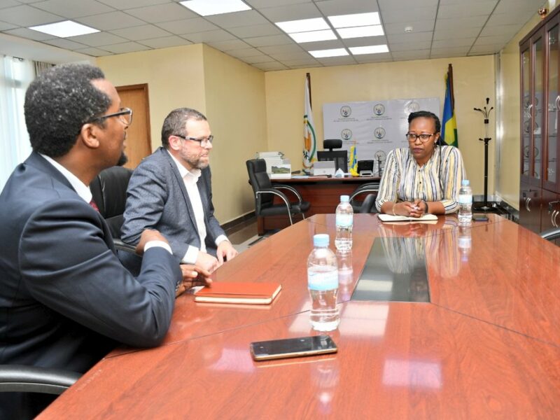 A professionally dressed African woman and a European and African man in suits sit around a large board table in an office